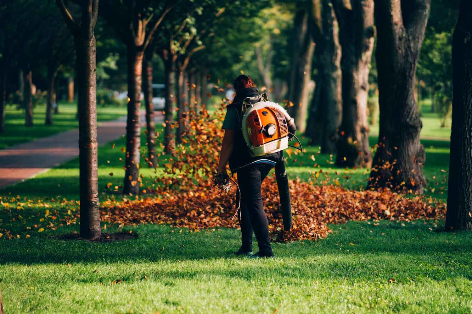 Best Tree Stump Removal  in Und City, MO